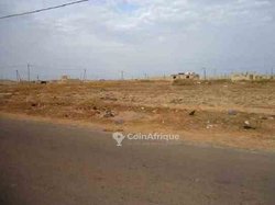 Vente Terrain 16000 m²  - Rufisque