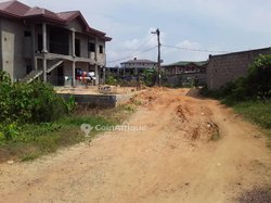 Terrains 600 m2 -  Bonaberi 