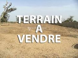 Terrains 100 ha - Rufisque