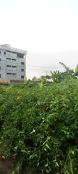 Vente Terrain 5000 m² - Cocody Riviera Golf 4 Cité Verdoyante