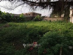 Vente Terrain 700 m² - Cocody Riviera Palmeraie Triangle Atci