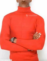 Pull col roulé