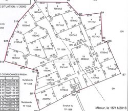 Vente Terrain 2 ha - Saly
