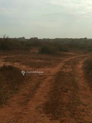 Vente Terrain - Sébikotane