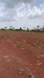 Vente Terrain 1000 m² - Yamoussoukro
