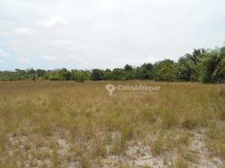 Terrains agricoles 400 m2 - Grand Bassam 