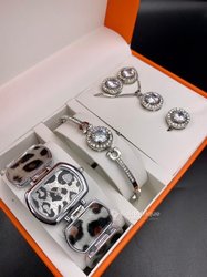 Montre + bijoux