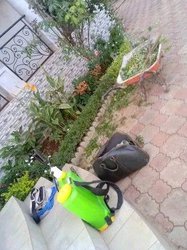 Services de jardinage / Horticulture
