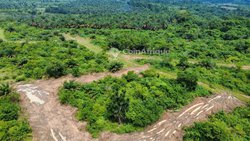 Terrain 9H -  Bomono 