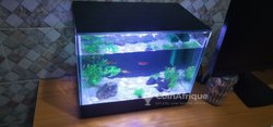 Nano aquarium 