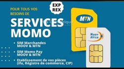 Sim marchands celtiis 