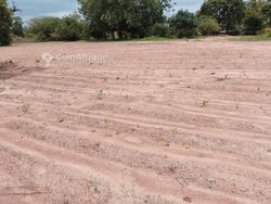Vente ferme - Ouagadougou