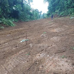 Terrain agricole - Dibamba 
