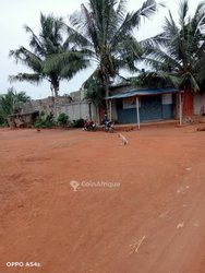 Terrain 3 lots - Kpala 