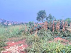 Terrain  200m²  - Eloumdem 