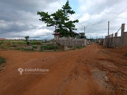 Terrain  500m² (×2) - Nkoabang