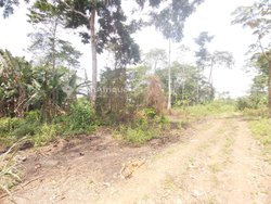 Terrain 10H  - Mbankomo