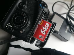 Canon EOS 7D Mark 1+ objectif 75-300 mm