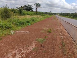 Terrain agricole 47 ha - Lomé Togo