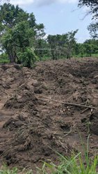 Terrain agricole 500 ha - Tovégan