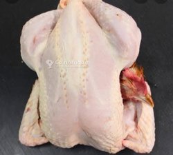 Poulet Royal