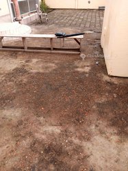 Location villa  duplex - Douala