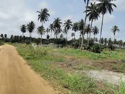 Terrain 500 m² - Jacqueville Koko