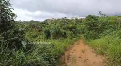 Terrain 200 m² - Lendi