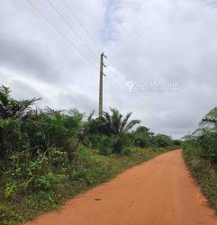 Terrain agricole 5 lots - Tori Togoudo 