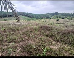 Terrain 1000m²  - Adiaké