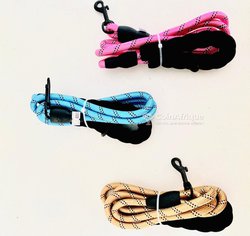 Accessoire chien