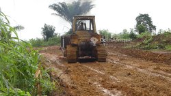 Terrain agricole - Edea