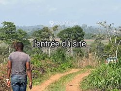 Terrain 3500 m² - Yaoundé