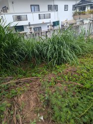 Terrain 400 m² - Bastos