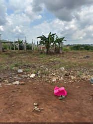 Terrain 1000m²  - Yaoundé