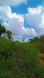 Terrain 2000m²  - Yaoundé