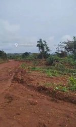 Terrain agricole - Soa