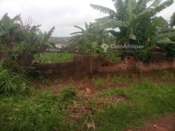 Terrain 1162m² - Ngousso