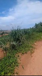 Terrain 2000m²  - Yaoundé