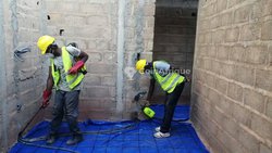 Traitement des termites