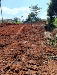 Terrain 1000m²  - Yaoundé