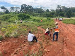 Terrain agricole - Carrefour Nkoabang