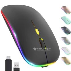 Souris sans fil à bluetooth + USB