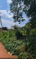 Terrain 800 m² - Soa