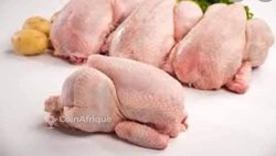 Poulets frais