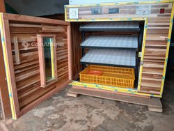 Couveuse automatique de 264 œufs 