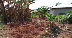 Terrain -  Yaoundé 