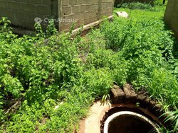 Parcelle -  Gouana cité