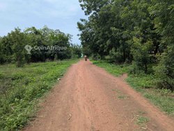 Terrains agricoles 100 ha - SSavalou