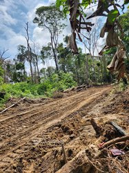 Terrain agricole - Kribi 